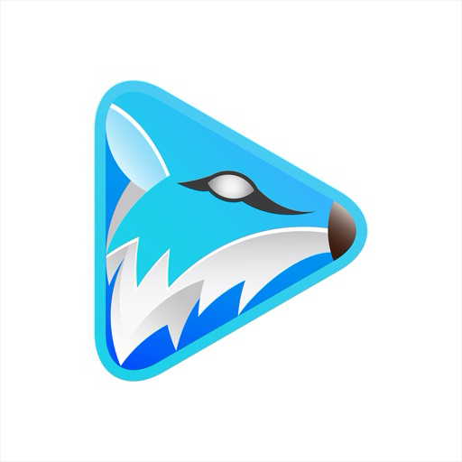 FoxFm offline video player pro